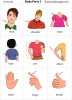 Body Parts 3 flashcards